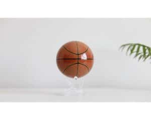 MOVA Globe Basketball